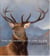The monarch of the glen