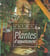 ENCYCLOPEDIE DES PLANTES D'APPARTEMENT