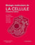 Biologie moléculaire de la cellule - livre de cours (5e édition)