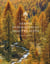 Arbres remarquables des hautes-alpes