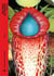 Wu chao, xia weilun, plasticiens