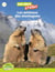 Les animaux des montagnes