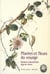 Les plantes et les fleurs du voyage