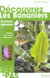 Decouvrez les bananiers - et alpinia, canna, curcuma, etlingera, hedychium, heliconia, ravenala, str