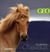 Calendrier géo les chevaux