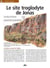 Le site troglodyte de Jonas