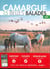 Camargue : 15 Belles Balades