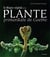 Le règne végétal de la plante primordiale de Goethe