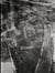 Lukas hoffmann untitled overgrowth