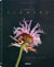 A tribute to flowers / plants under pressure