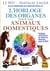 L'horloge des organes pour les animaux domestiques : soignez vos chiens et chats en douceur avec la MTC