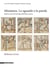 Miniatura. lo sguardo e la parola : studi in onore di Giordana Mariani Canova