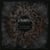 In The Light Of Darkness - Vinyle