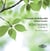 Schumann /vol.2