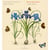 Grands motets - CD