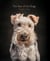 The year of the dogs