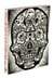 The Book of Skulls /anglais