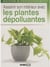Assainir Son Interieur Avec Les Plantes Depolluantes