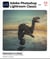 Photoshop Lightroom classic classroom in a book