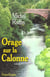 Orage sur la calonne