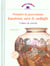 Peindre la porcelaine - lustre ors et relief