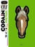 Copain des chevaux