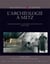 L'archéologie à Metz : des antiquaires à l'archéologie préventive (1750-2008)