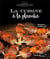 La cuisine à la plancha