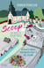 Une enquête de Vicky Hill t.1 : scoop