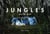 Jungles - abris de fortune aux abords de la manche