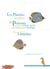 Les planches inédites de poissons et autres animaux marins de l'indo-ouest pacifique d'isaac johannes lamotius