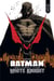 Batman : beyond the white knight