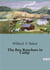 The boy ranchers in camp