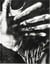 James Drake : Tongue-cut sparrows