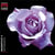 Magnificat 3 - CD