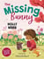 Little gems : The missing bunny