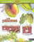 Plantes
