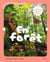 Promenons-nous : En forêt