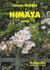 Himaya