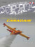 Bombardier d'eau canadair scoopers
