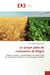 Le projet pôle de croissance de Bagré : impacts sociaux - économiques du projet pôle de croissance de Bagré sur le ménages riverains