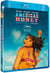 American Honey