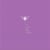 Cocoon Compilation U