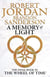 A memory of light volume 14 - wheel of time
