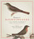 Pasta for nightingales - a seventeenth-century handbook of bird-care and folklore