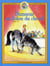 Danseur, petit cheval magique Tome 14 : Danseur au salon du cheval
