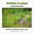 Esthétique du potager : formes, couleurs, lumières - aesthetics of the vegetable garden : shapes, colors, lights