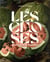 Les choses : une histoire de la nature morte - album de l'exposition