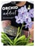 Orchid addict : trucs et astuces d'un passionné pour cultiver ses orchidées