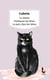 La Chatte - Dialogues de bêtes - La Paix chez les bêtes